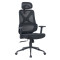 Крісло офісне ергономічне Level Black чорне ErgoMix