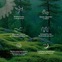 Матрац безпружинний Matroluxe Detox (Детокс) нестандартного розміру